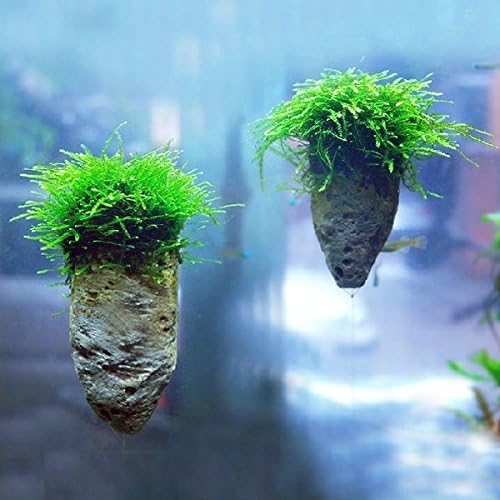 Avatar Pumice Stone Aquarium Decoration Rock by whiteshops