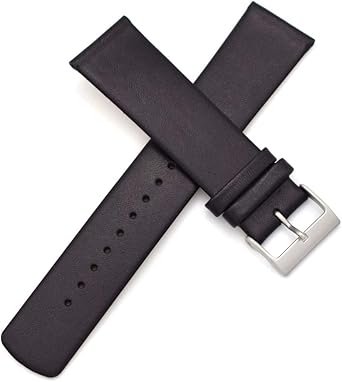 Skagen - Correa de Repuesto para Reloj Skagen (22 mm)