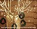 Amyhome 100 LED String Lights with eBook, 33-Feet, Warm White