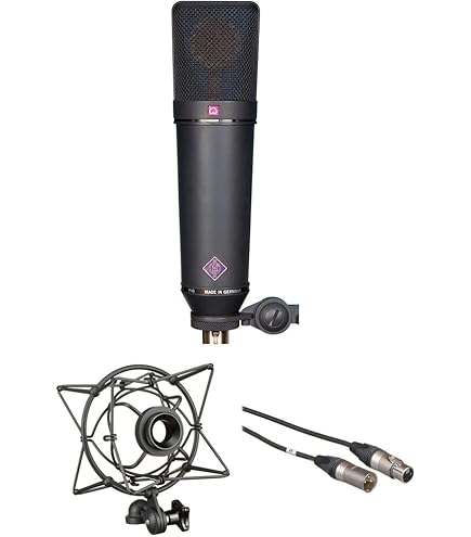 Amazon.com: Neumann U 87 Ai Large-Diaphragm Condenser Microphone