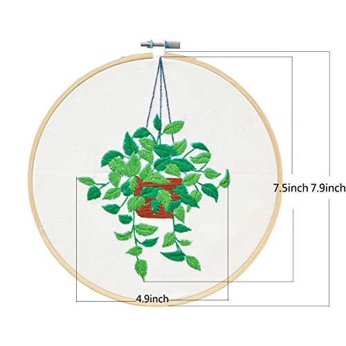 Unime Full Range of Embroidery Starter Kit with Partten, Cross Stitch Kit Including Embroidery Cloth with Color Pattern, Bamboo Embroidery Hoop, Color Threads, and Tools Kit (Scindapsus)