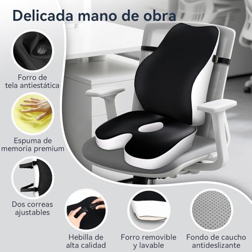 Travel Ease Memory Foam Seat Cushion and Lumbar Pillow Set, Ergonomic Comfort for Office Chair, Car, Home and Travel, Back and Butt Support, Black