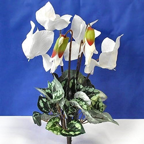 Amazon De 20 Cm Kunstliche Alpenveilchen Pflanze Mit Weissen Blumen Winter Fruhjahr Ins Freie