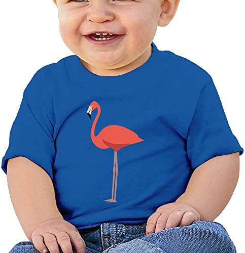 Cute Short Sleeves T-Shirt A Flamingos 6-24 Months Baby Boy Infant