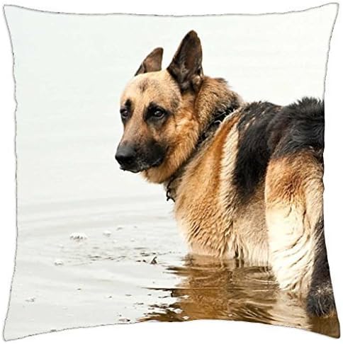 Una Stowe It's too cold water, I will not bathe ! - Throw Pillow Cover Case