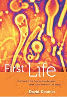 Protocells Bridging Nonliving And Living Matter The Mit - 