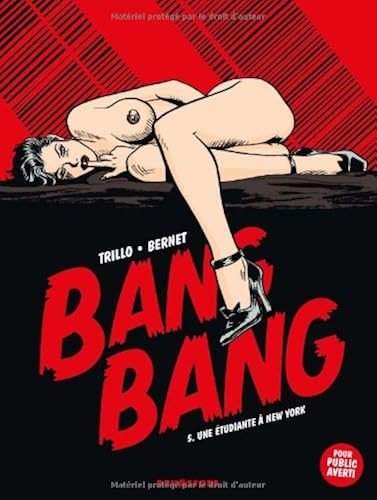 Download Bang Bang, Tome 5 : Une étudiante à New-York PDF