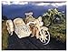 Puzzled Cycle Car Wooden 3D Puzzle Construction Kit