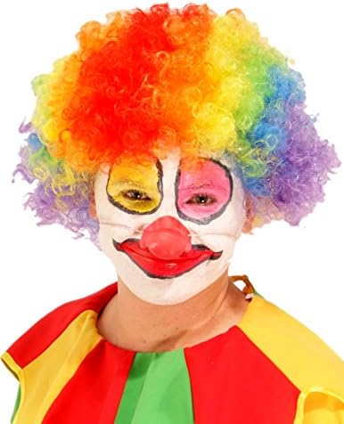 Rainbow Clown Afro Hair Wig- Fancy Dress/ Halloween