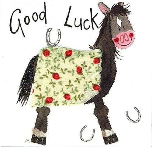 Alex Clark Art Horse Good Luck Note Card Set of 6 Cards 4.75 in X 4.75 In by Alex Clark Art