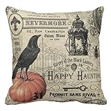 Comi modern vintage halloween pumpkin and crow throw pillows Cover 18