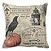 Comi modern vintage halloween pumpkin and crow throw pillows Cover 18" X 18"