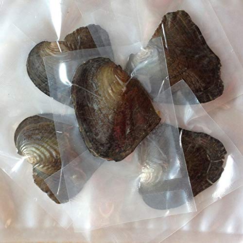 6 psc Vacuum Packaging Mussel Oyster Drop Pearl Pendant Pearls (White)