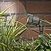 Sterno Home Paradise Low Voltage LED Micro Spot Light,Adjustable, Black