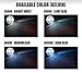 HID-Warehouse HID Xenon Replacement Bulbs - D2S / D2R / D2C - 10000K Dark Blue (1 Pair)