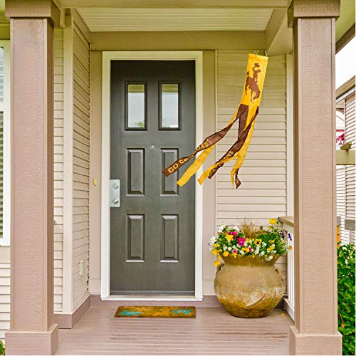 College Flags and Banners Co. Wyoming Cowboys Windsock
