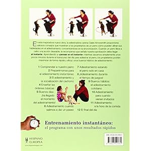 Adiestre a su perro rápido y fácil