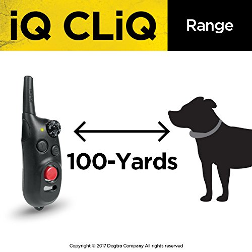 Dogtra iQ CliQ Remote Training Collar with Built-in Clicker?