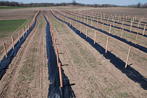 Ecover 5oz Landscape Weed Barrier Needle-Punched Fabric Weed Block for Raised Bed Gardening Mat with Peg - 6' x 8',Black