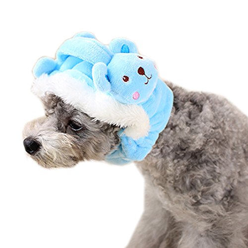 Alfie Pet by Petoga Couture - Paris Beanie Hat Costume (for Small Dogs & Cats)