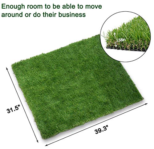 patch of grass for balcony