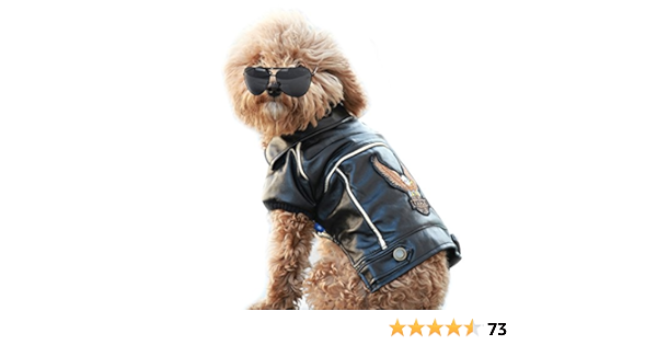 dog leather jacket amazon