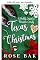 Livro Natal no Texas (Classe trabalhadora na meia-idade)