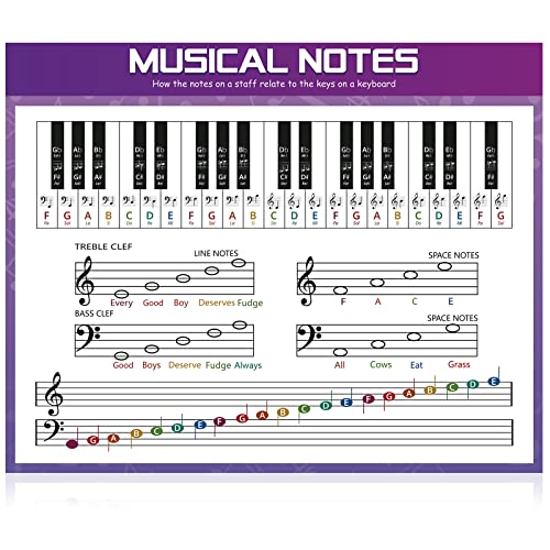 Mua Music Theory Poster Music Notes Education Posters Music Classroom