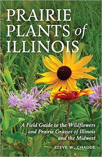 Prairie Plants Of Illinois A Field Guide To The Wildflowers And Prairie Grasses Of Illinois And The Midwest Chadde Steve W 9781951682132 Amazon Com Books