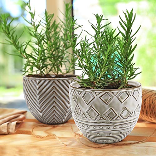 KORAM 5.5 Inch Ceramic Planter, Indoor & Outdoor Garden Pots for Flower Succulent Plant with Drain Hole, Home Office Decoration Set of 2(Plants Not Included)