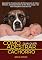 Livro Como Adestrar Qualquer Cachorro: Aprenda Os Fundamentos Do Treinamento De Cães E Filhotes, Do Adestramento Do Seu Bom Amigo E Ter Mais Disciplina Com Seu Cão