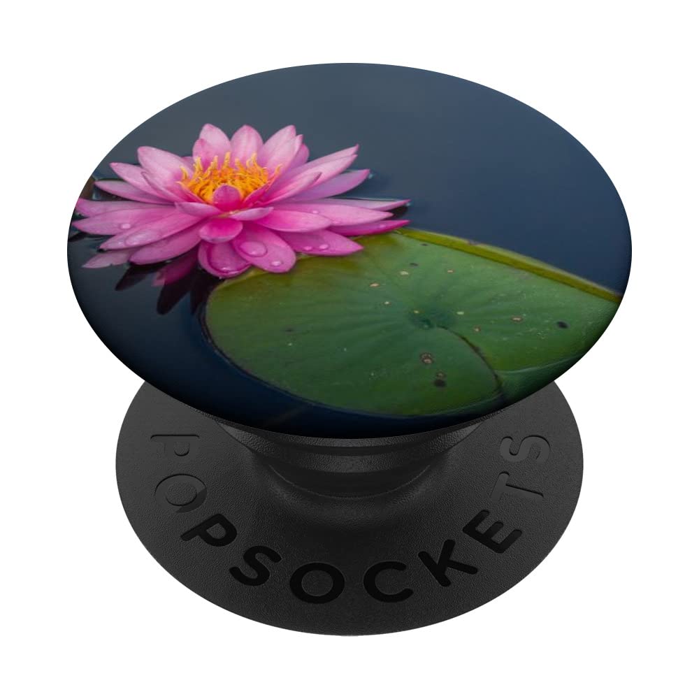 Water Lillies Flower PopSockets Swappable PopGrip