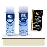 PAINTSCRATCH Touch Up Paint Spray Can Car Scratch