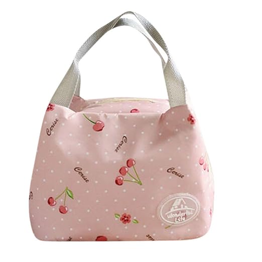 RYTEJFES Bolsas De Almuerzo Portátil Tote Picnic Refrigerador ...