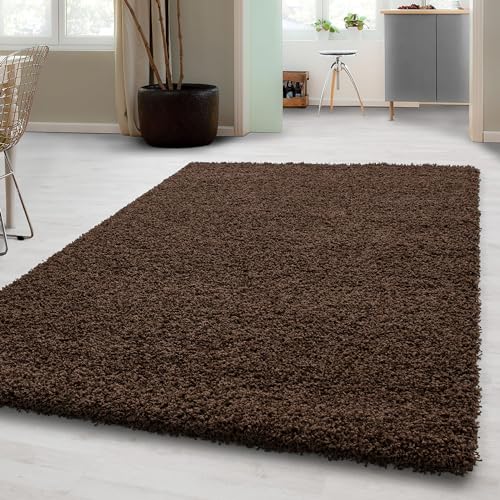 Carpetsale24 Shaggy Hochflor Teppich 300x400 cm Braun weich flauschig modern einfarbig Für sehr große Räume für Wohnzimmer Schlafzimmer Flur