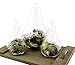 Light Bulb Glass Terrarium Set of 3 Pieces (1 Large & 2 Small); Planters for Air Ferns, Succulents and Dioramas