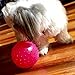 Adorox 20 Pack Colorful Knobby Balls Bouncy Party Favors Toys Novelty 5