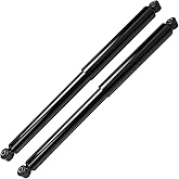 Detroit Axle - Rear 2pc Shock Absorbers for 2009-2019 Ford F-150, 2 Complete Shock Absorbers Assembly 2010 2011 2012 2013 201