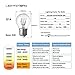 LightStory G14 Globe LED Bulb, E26 Vintage 2200K Starry Decorative LED Edison Bulb, Non-Dimmable
