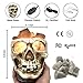 3D White Gray Grey Black Himalayan Salt Lamp Lights, Tatoo Halloween Skull Carved Statue Lamp Night Light with Himalayan Gray White Salt Chunks, Dimmer Switch Control with 1 Salt Candle Holder