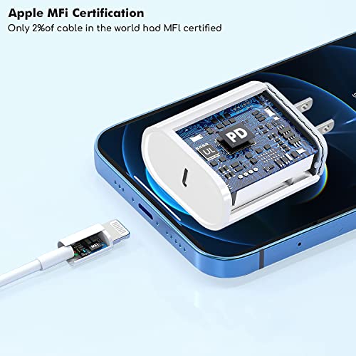 513-e e6L2L.jpg