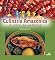 Livro Culinária amazônica: o sabor da natureza