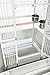 Prevue Pet Products 34522 Dometop Bird Cage, Large, Chalk Whitethumb 3