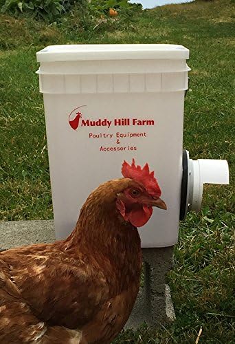 Amazon Com Muddyhillfarm Single Opening Chicken Duck Poultry