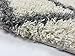 Trellis Ivory (Off-white) Grey Shag Area Rug Rugs Shaggy Collection (Ivory (Off-white), 5'x7')