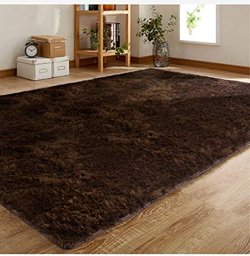 Wovwvool Soft Indoor Modern Area Rugs Fluffy Living Room Carpets Suitable for Children Bedroom Home Decor Nursery Rugs (4'5.3', Brown)