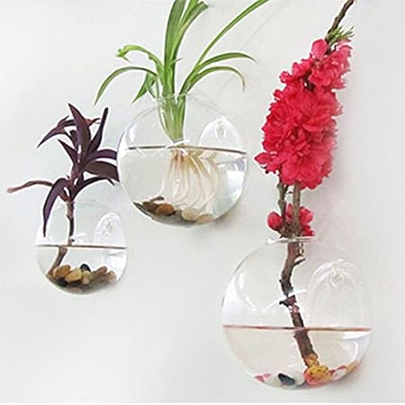SOLEDI Glass Hanging Vase Terrarium Hydroponic Flower Plant Pot for DIY Home Garden Decor