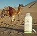 Organic Frozen Camel Milk Kefir - Pasture-Raised Grass-Fed Non-Allergenic - Paleo and Keto Friendly - Made In The USA [6 Pack]