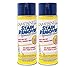 CAMPANELLI Pro Series Stain Remover - 18oz Aerosol 2 Pack - Point & Spray Carpet Cleaner, Spot Remover, Great For Pet Stains & Odors, Upholstery, Fabrics, & More