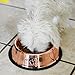 Petrageous Stainless Steel Dog Bowl – Bronze Copper Cat Food Dish Won't Rust Or Corrode - Dishwasher Safe Dog Food Dish – Non Slip Base Prevents from Sliding Around The Floor